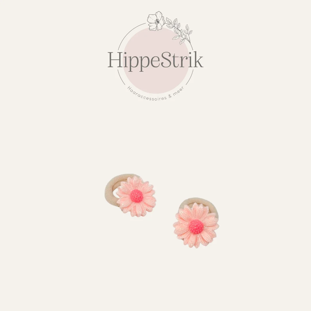 Mini elastiekjes Beau - roze